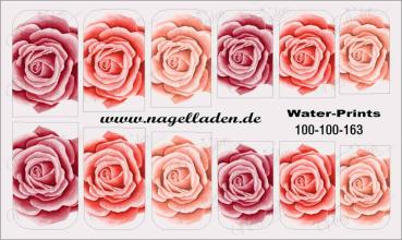 Nail-Water-Tattoo-(Prints)-small-163