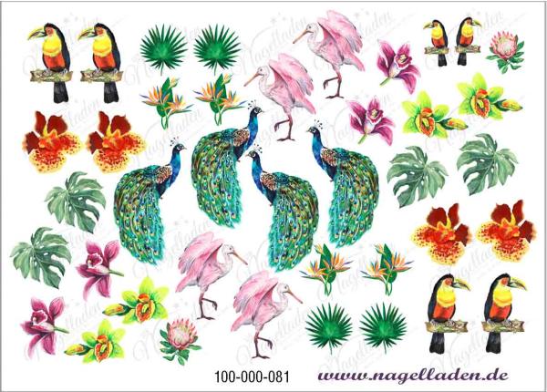 Nail-Water-Tattoo-(Prints)-081